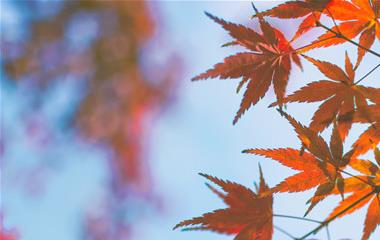 男女谈爱情的进程和时刻中,这几点必定要加以注重!