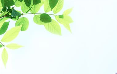 刚和男朋友分手了怎样拯救?