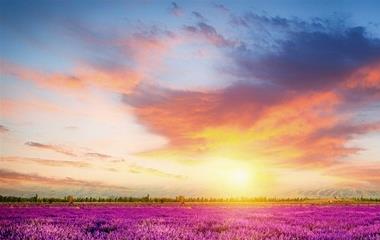 老公越轨了我总过不去那个坎,四招走出暗影 老公越轨了我总过不去那个坎,四招走出暗影