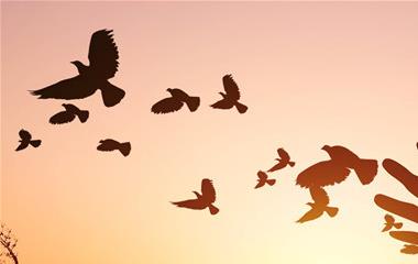 怎样拯救男朋友?三个拯救男友最有用的行为