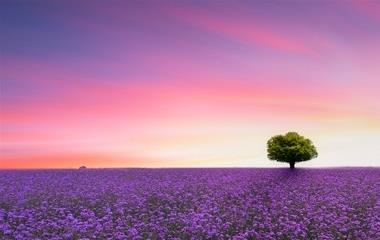 怎么拯救女朋友?教你拯救女朋友攻略