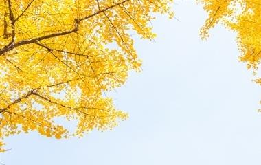 怎样让一个男人越来越爱你?收藏好以下4点