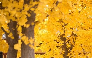 怎样款留一个你爱的人?怎样拯救男友的心?