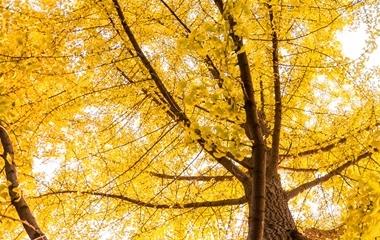 男朋友说不爱我了,怎样拯救男朋友的心呢?