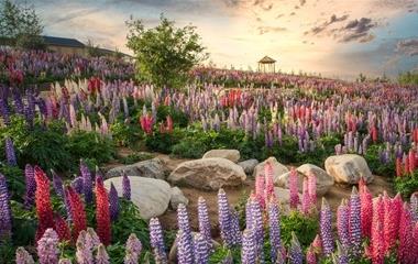 情人节说什么话给目标,对女生说的暖心话