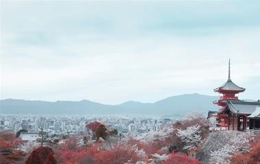 拯救后的爱情怎么升温?婚姻怎么抢救?