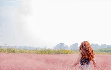 合适夜听的情感文章,催人泪下的情感文章