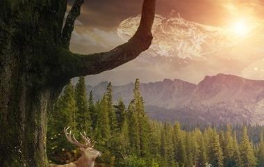 女性梦见自己掉牙预言,意思!