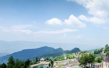 属猪的本年桃花运是何时,终究旺不旺