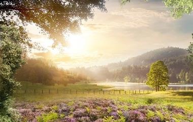 女性想要的婚后日子，女性想要什么样的婚后日子