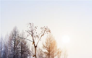 为什么爱的不要太激动