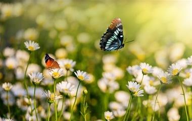 最感动人心的勉励语句