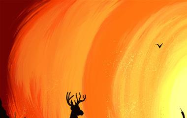 不喜爱依托他人的星座