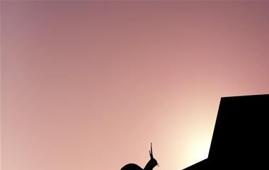 为什么有的人会很少做梦