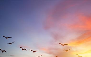 总是以为自己是对的星座，自傲并且自傲