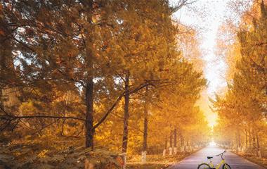 做梦梦见爱人越轨是什么意思