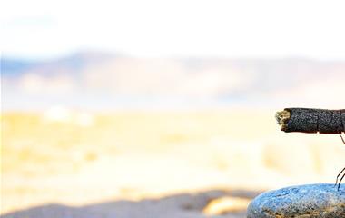 和童贞座谈爱情注意事项