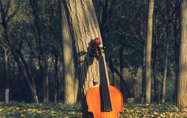 男生应该怎样追女生?追女生的技巧!