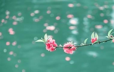 水瓶座打听你的体现