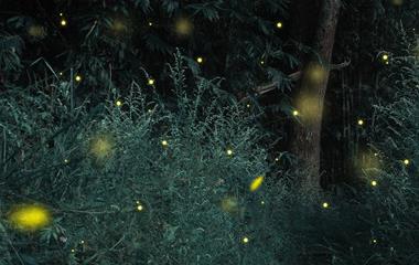 和水瓶座最配的星座，水瓶座和谁在一同最夸姣