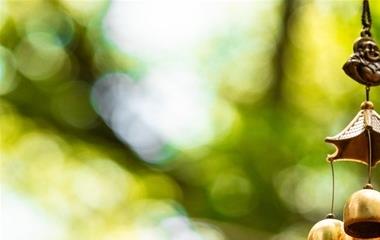 教师感恩语简略,心存感恩的经典句子