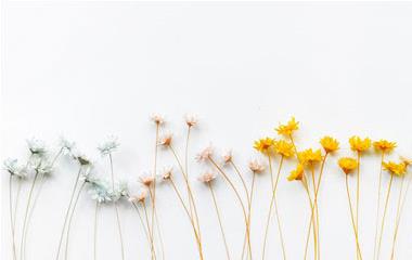 老婆生日送什么礼物好,媳妇过生日送点啥