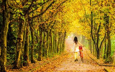 浪漫的约会方法,情侣约会怎样玩比较浪漫