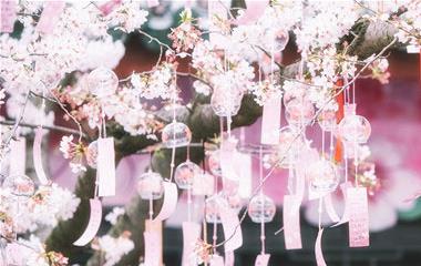 给女生的简略祝福,友谊短句小新鲜