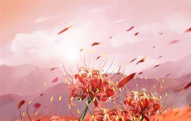 拍拖是什么意思，怎样去拍拖