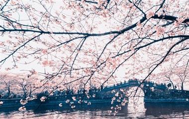 教师节走心案牍,送给教师的神仙案牍