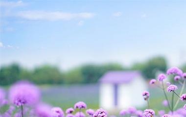 怎么增进夫妻爱情?增进夫妻的爱情办法!