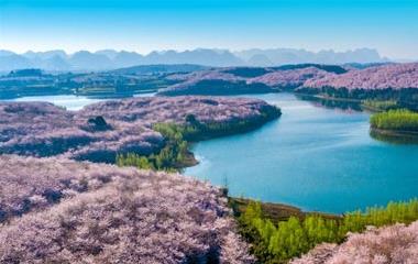 夏日摄生小知识,让你轻松度过夏天!