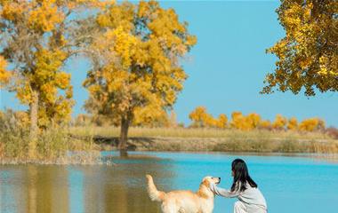 办成婚证需求什么手续,怎么处理成婚证