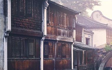 白玫瑰代表什么意思花语是什么