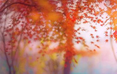 怎么搞定狮子座男生?