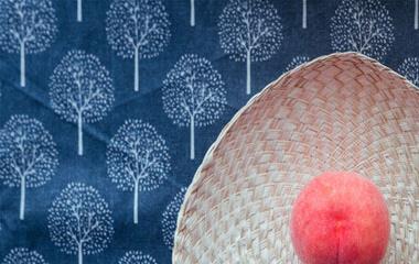 描述一对夫妻很美好,十分经典的语录语句