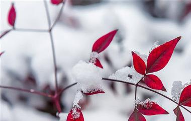 异地别离爱情淡了还能拯救吗?