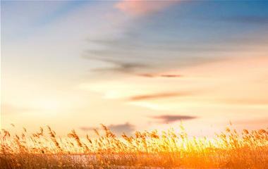 让婚姻过的美好的条件是什么