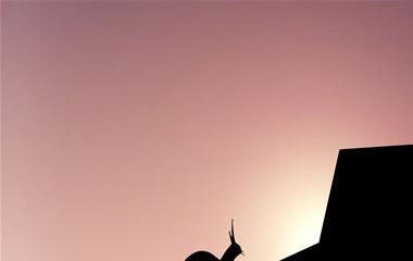 女方越轨怎样拯救?这几点必定要做到