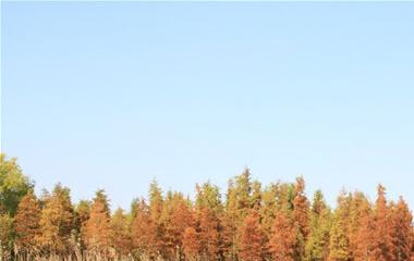 男友把你当替代品的体现,女生最好趁早分手