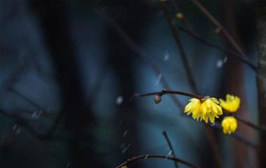 男女之间暗斗多久爱情完毕,最好不要超越一个月