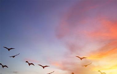 女朋友想要的安全感,女性真实想要的安全感是什么样的