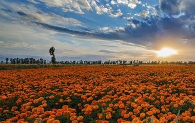面临越轨的男人该怎么办,遇到越轨的老公怎么办