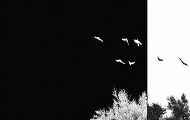 两人两地分家跟老婆吵架暗斗怎么办,怎么处理异地夫妻吵架