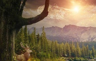 分手之后应该怎样做