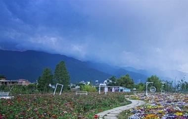 心思健康测验,心思健康标准