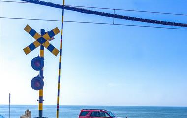 狮子男还想复合的体现,拯救狮子男的最佳时刻