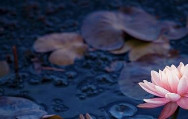 怎样控制自己的心情?提示自己消极心情的影响 怎样控制自己的心情?提示自己消极心情的影响