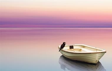 心动的感觉是什么样的?盘点四种心动信号