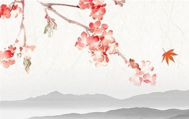 女人怀孕有什么预兆,女人在怀孕之后怎样查看?